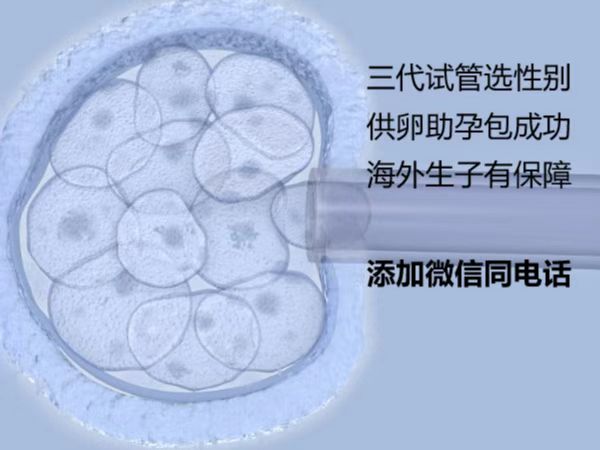 上海供卵医院：如何选择可靠的助孕