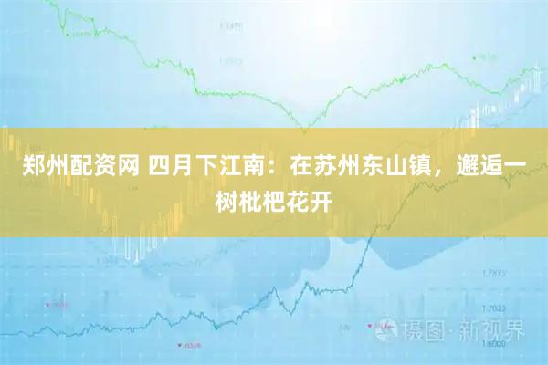 郑州配资网 四月下江南：在苏州东山镇，邂逅一树枇杷花开