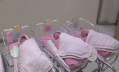 上海普陀区第三代试管婴儿成功率有多少？
